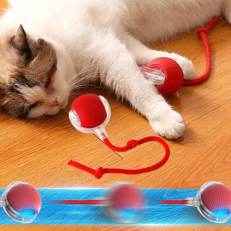 Self-Rolling Plush Cat Toy Ball – Interactive Teasing Ball for Cats